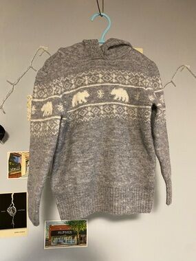 Gray Hooded Polar Bear Fair Isle Sweater - Unbranded 4T